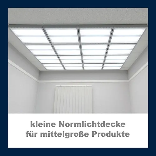 Kleine Normlichtdecke
